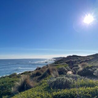 “You hold in your hand an invitation: to remember the transforming power of forgiveness and loving kindness. To remember that no matter where you are and what you face, within your heart peace is possible.” Jack Kornfield ✨Join me this morning at 9.30am (AEST) to meditate on finding inner peace. Live on @insighttimer. I’ve included the link in my bio. 🙏