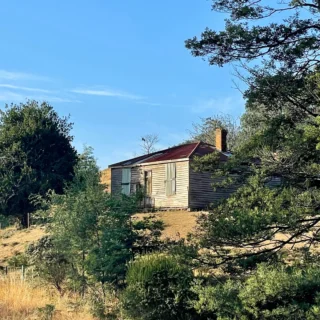 A follow on from last week’s post about aspiring to simplicity. I’m on holiday in Tasmania where I was lucky enough to live for ten years. Yesterday, as we drove through the countryside, I was struck by a lovely memory. At around the age of 12, I spotted many abandoned little cottages, very much like this one. I knew at the time that the simple beauty was all that I would ever want and need in my lifetime. A humble home surrounded by plenty of nature. I had a picture of myself planting a garden, reading by the fire, writing at a little wooden desk and baking in an old fashioned kitchen. Maybe one day having my own children and sharing my love of nature with them. Almost 50 years later, it’s still all of these things that fill me with joy and give my life meaning. I think most of us knew ourselves well at that age yet often, we lost trust in what we believed in and started shaping ourselves to please other people. Can you remember what it was you dreamed of? ✨